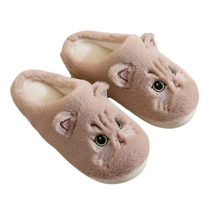 Fuzzy Cat Slides