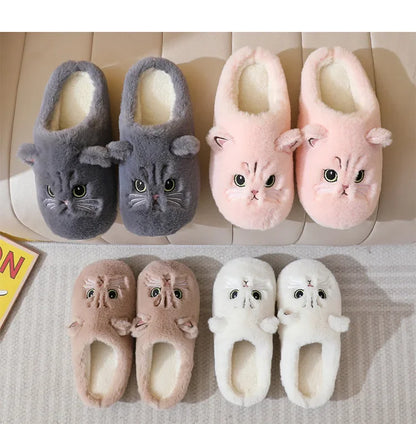 Fuzzy Cat Slides